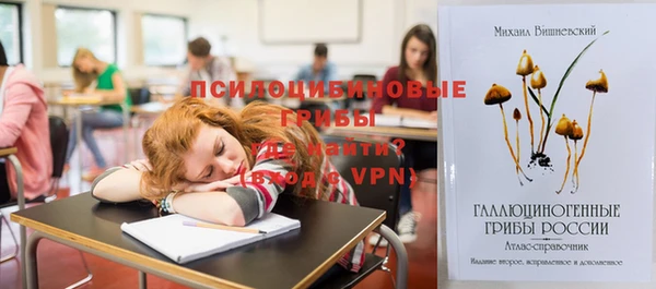 стафф Абаза
