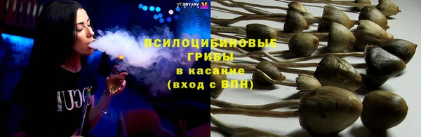 стафф Абаза