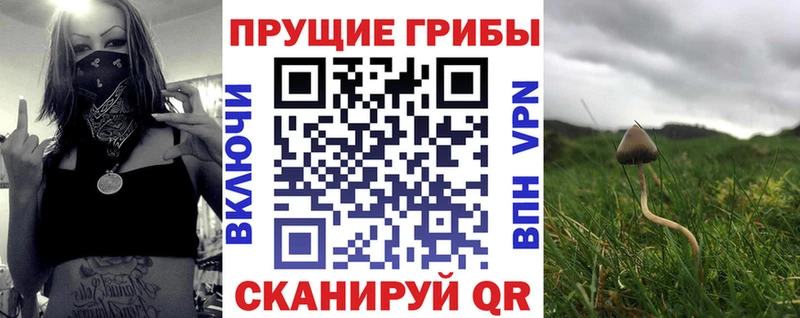 Галлюциногенные грибы мухоморы Северодвинск